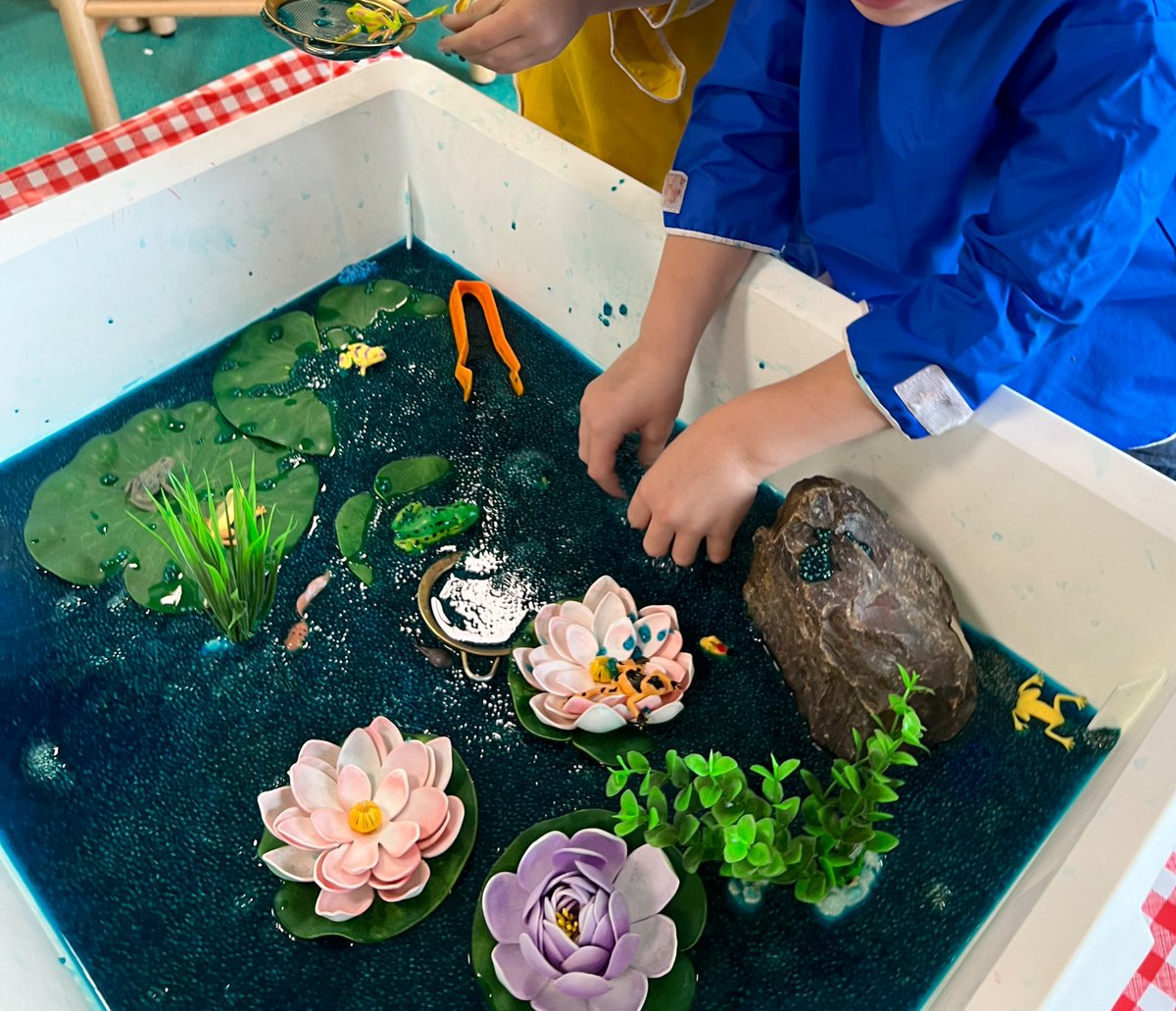 Chia seed frog pond with a search and find life cycle had to be some of the most fun we’ve had in the sensory bin all year 😏🪷🐸 #playfullearning #ece #iteachprek