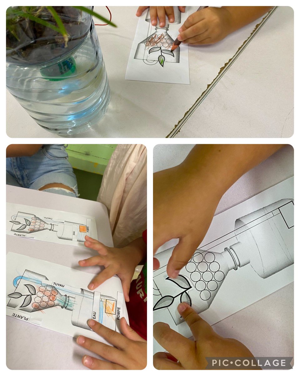INSPECTION_SD3's tweet image. Aujourd’hui, les élèves de la 4ème Thalès du collège Robert J. ARDON - Montgaillard ont installé un système aquaponique 🐠 et animé des ateliers technologiques dans une classe de TPS-PS de l’EMPU St-François Pk7.🌱
Un échange inter-degré réussi ! 💪
@AcLaReunion @JA_Montgaillard