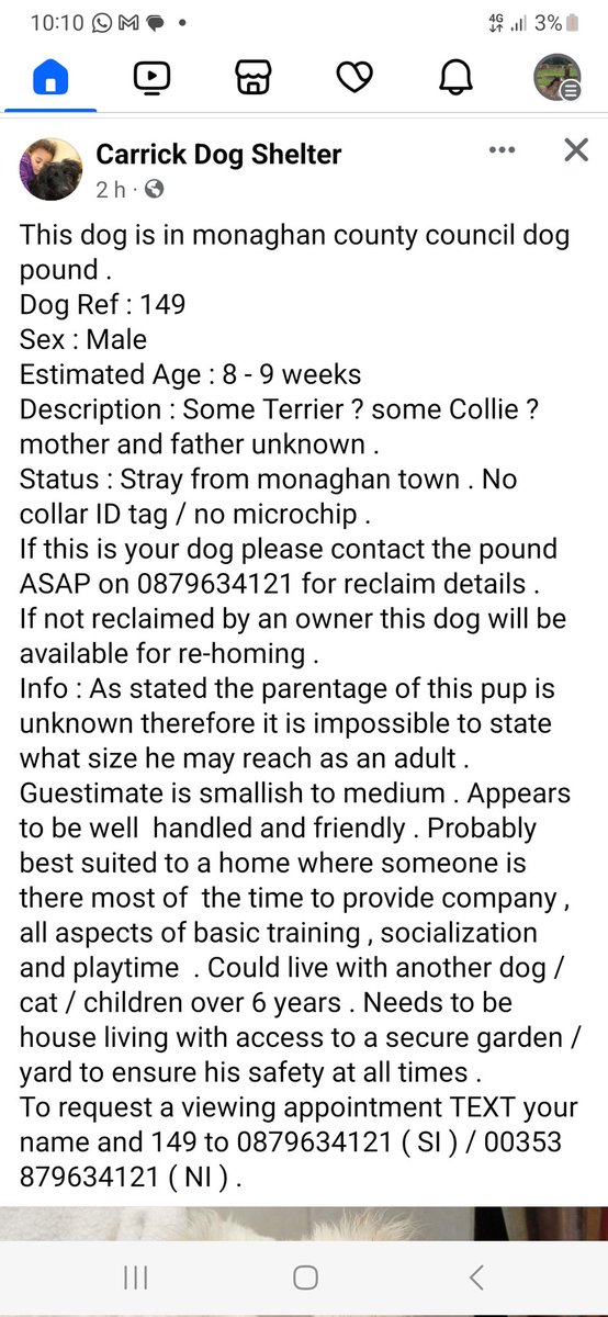 A stray puppy at 9 weeks old now in Monaghan Pound... please share. You just couldn't make up the #dogcrisis at moment.