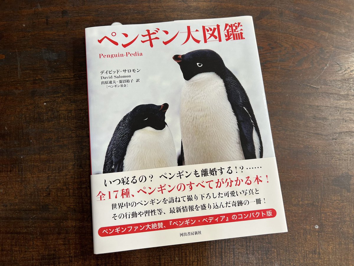今日は #世界ペンギンの日 ですね。ペンギンについて知りたくなった