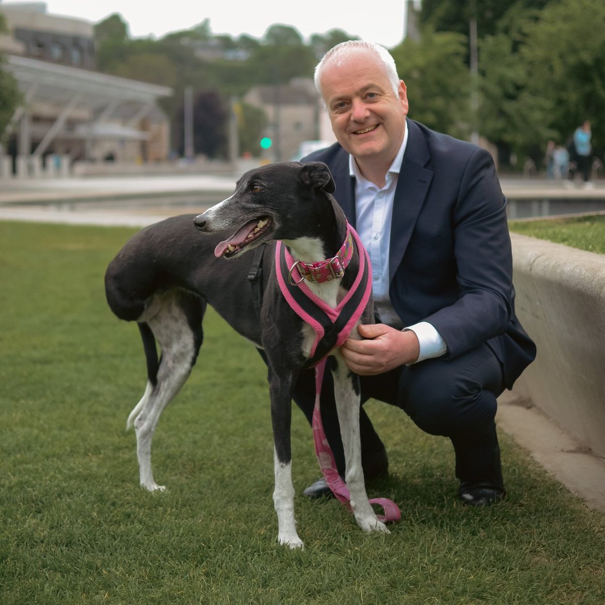 📢 Calling rescued greyhound owners & rescue organisations. Just 7 days to respond to @markruskell's Prohibition of Greyhound Racing (Scotland) Bill Consultation & share your experience of living & working with greyhounds 🐾#UnboundTheGreyhound 👉 endgreyhoundracing.co.uk