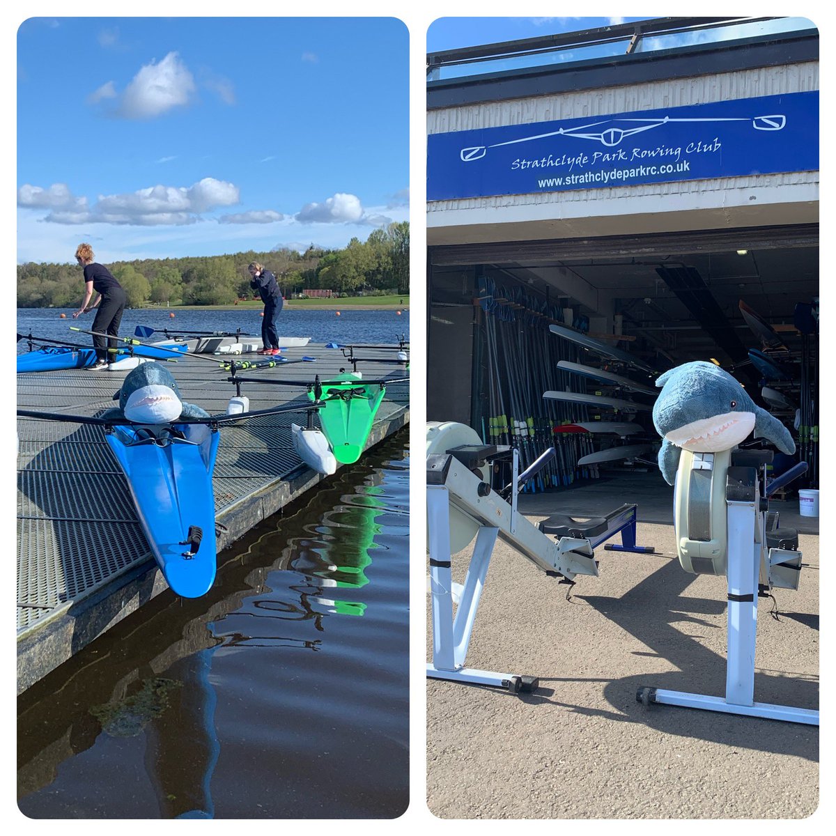 Our newest member of the #CommunityRowing outreach team, the #ParkShark, is ready to welcome the first of our primary school groups this morning @SP_RC1 @NLActiveSchools