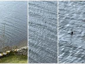 Is it the Lochness Monster ?? A Canadian couple took this picture from the Urquhart Castle in Scotland. They say it swam against the current before disappearing. Do you believe in the Lochness Monster ?? Photo Courtesy Canadian Press