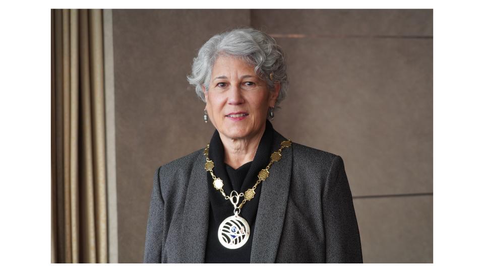 ICN President @PamCiprianoRN: 'I am delighted to have been appointed as co-chair of @UN @UHC2030 Steering Committee. Increased investment in #primaryhealthcare and a workforce to deliver that care including #nurses are crucial for achieving #UHC goals.' bit.ly/44dGEgE