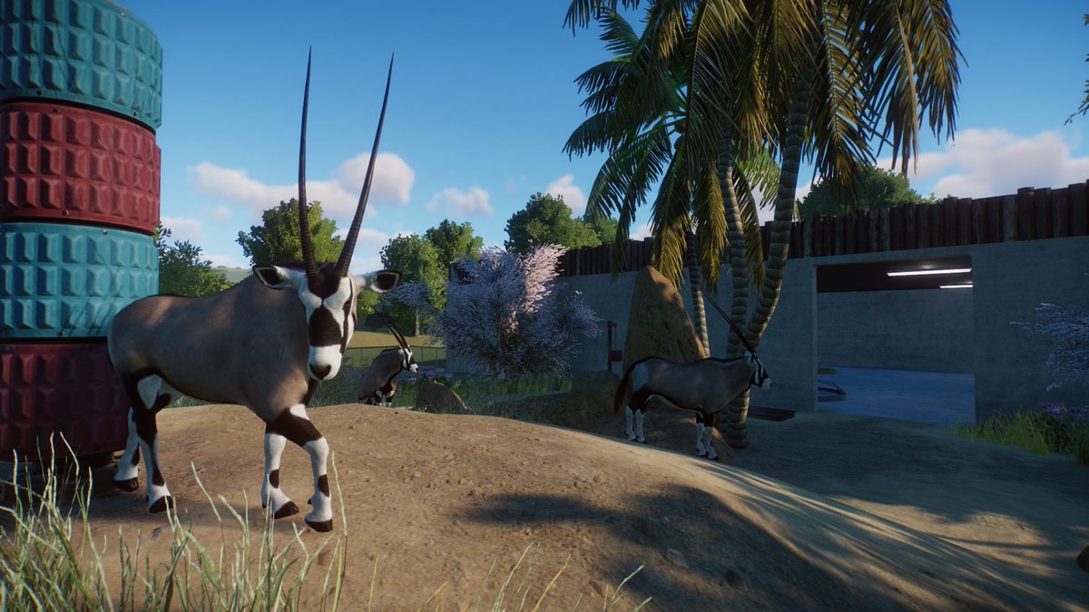 This time round made my first Gemsbok enclosure, I do love watching these antelope. 

🛠️ - Speedbuild 
youtu.be/8Ul3KCDRgYE?si…

🦒 - @PlanetZooGame 

#planetzoo 
#planetzoogame 
#planetzoobuild