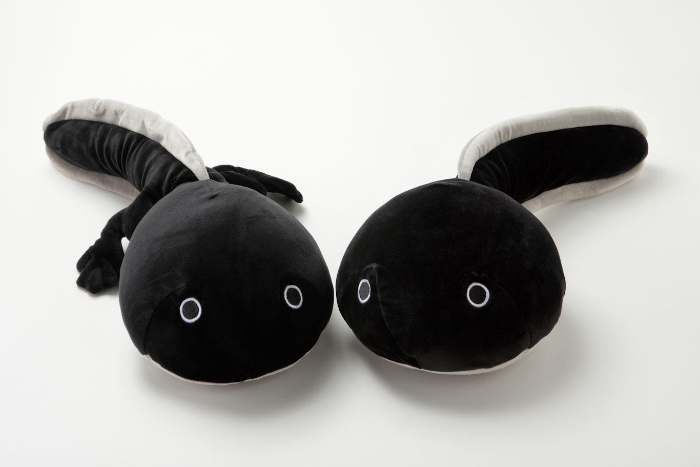 未開封 せなか:オタロード Blog 生物(なまもの)ぬいぐるみ 足立区生物園 on X: 
