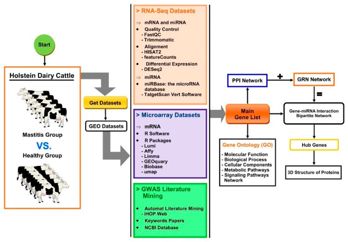 CIMB_MDPI's tweet image. Multi-Omics Integration and Network Analysis Reveal Potential Hub Genes and Genetic Mechanisms Regulating #BovineMastitis

👥By Dr. Masoumeh Naserkheil et al.
🏦National Institute of Animal Science
🔗mdpi.com/1467-3045/44/1…

@MDPIOpenAccess #TranscriptomeSequencing