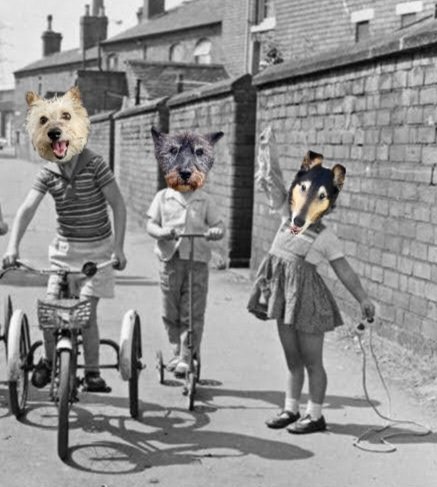 Throwback Thursday when me, Norm and Miss Twiggy were playing on the streets! @Norman_Dillon1 @CollieTwiggy #BovverBoys #ThrowbackTuesday #Memories #ThoseWereTheDays