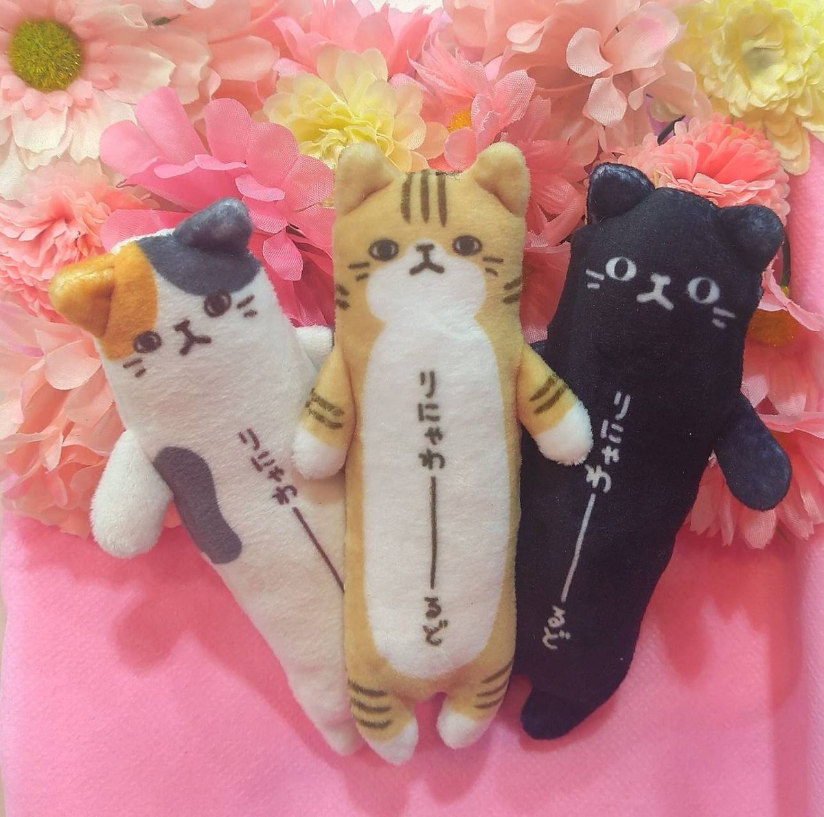 ⭐︎雪丸⭐︎のびねこ大阪【しらんけどー】⑤ GL_1zNgaYAAm4zt.jpg