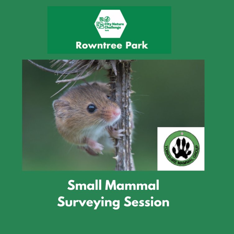 Come and join the Yorkshire Small Mammal group to survey mammals in the park. Saturday 27th April 9.30-10.30am come check what has found been found overnight & release any small mammals back into the wild. Free to book - donations to the society welcome. rowntreepark.org.uk/events/booking