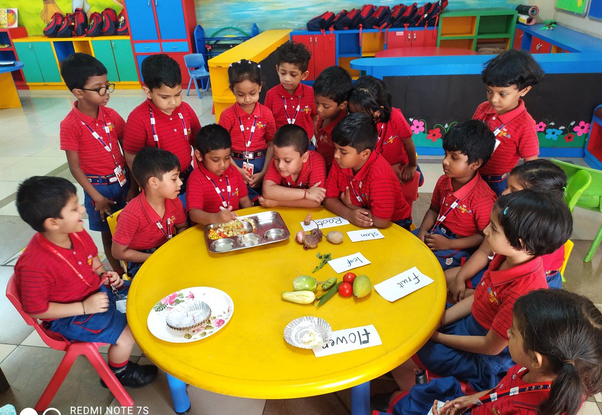 In a lively kindergarten classroom, children embarked on an exciting journey to learn about edible parts of plants. The KG-II students explored seeds through corn, stem from boiled potatoes, fruits with cucumbers, 

#21stCenturySkills #MultisensorySkils #JoyofDiscovery