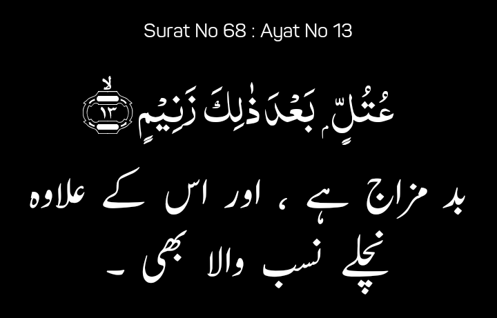 #Quran #allah #wordsofwisdom #truewords #islam #religion #truereligion #quranrecitation #Qurantime #quranwithurdutranslation #quranwithenglishtranslationsimple