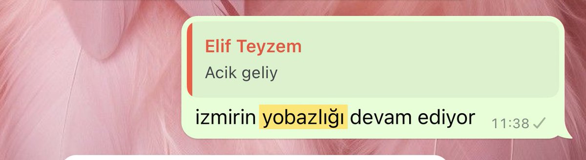 mlkbsra's tweet photo. hani biz yobazdık https://t.co/guMOCPiXCH