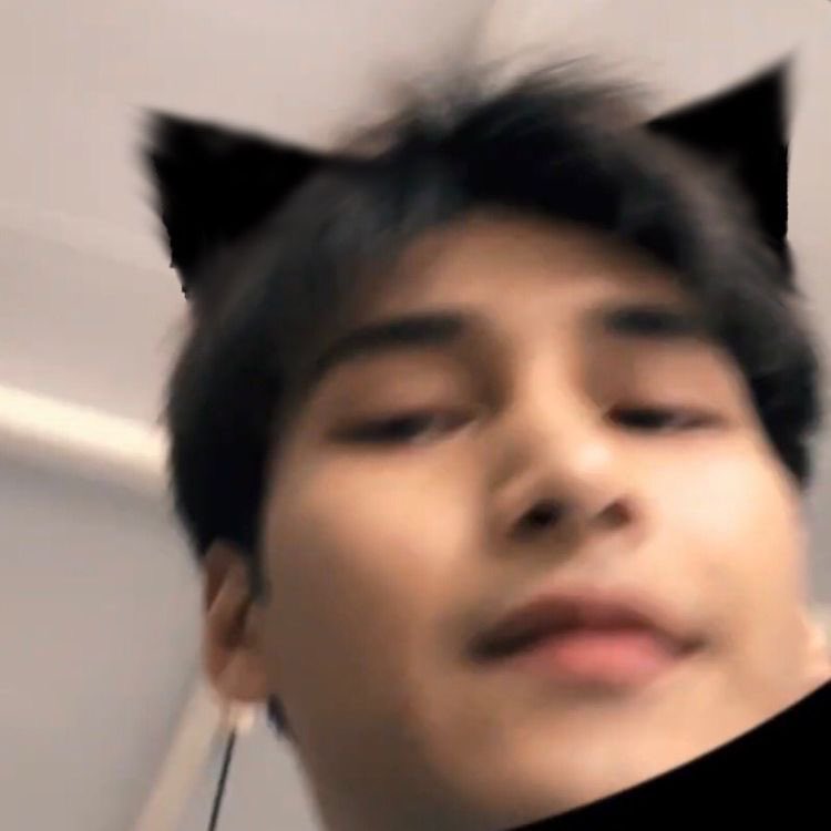 𝑺𝑼𝑵𝑺𝑬𝑻 🪷 tweet media
