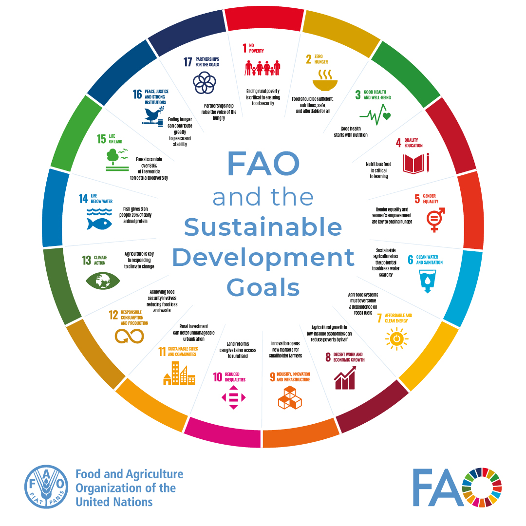 17 goals. 6 years to achieve them. 1 future. Food & agriculture lie at the heart of achieving each & every one of the 17 #SDGs. FAO is committed to helping build a better future for all, learn how 👉 bit.ly/3JGDVkS