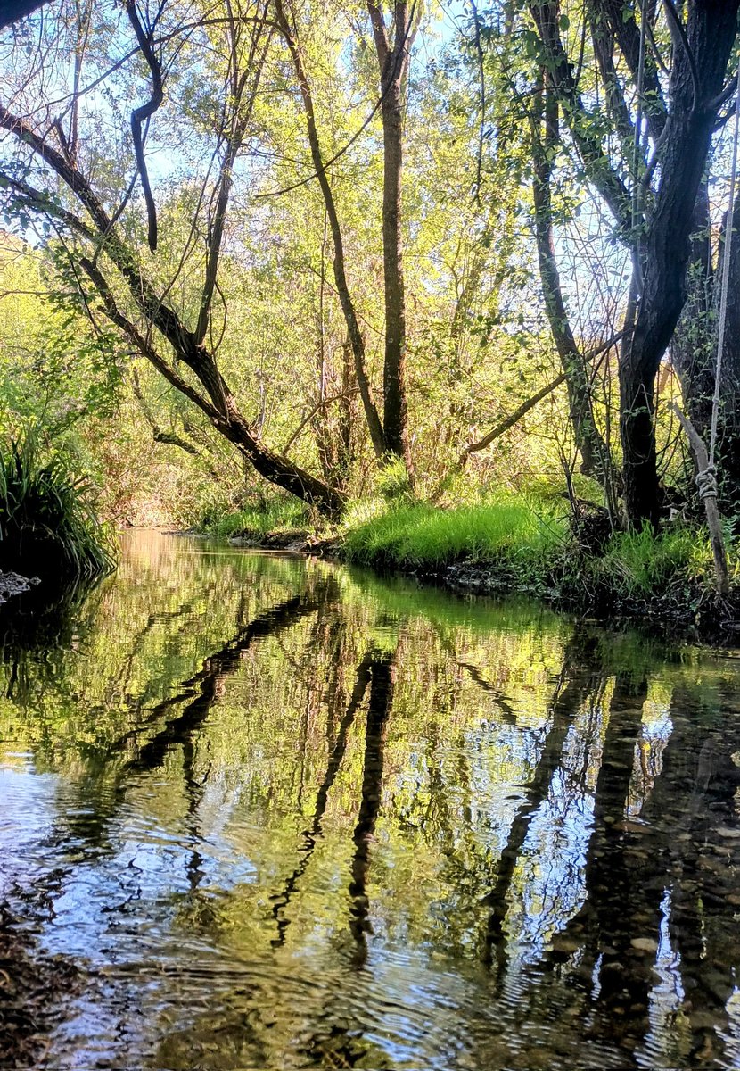 meteoalbaicin's tweet photo. Hoy tocaba paseo aguas arriba del Darro.
Aprovechad estos días que el campo está en su mejor momento. https://t.co/OtsTBtfQ95
