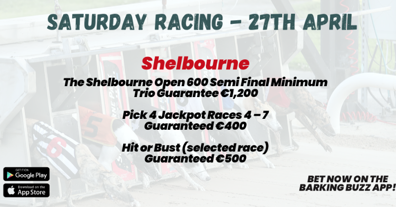 🏟️𝐒𝐀𝐓𝐔𝐑𝐃𝐀𝐘 𝐓𝐎𝐓𝐄 𝐆𝐔𝐀𝐑𝐀𝐍𝐓𝐄𝐄𝐒🏟️

🔥 Pick 4 Jackpot races!
🏆 The Shelbourne Open 600 Semi Final
💶 FREE Bet for NEW customers

𝗕𝗘𝗧 𝗡𝗢𝗪 on #BarkingBuzz App
Or visit barkingbuzz.grireland.ie