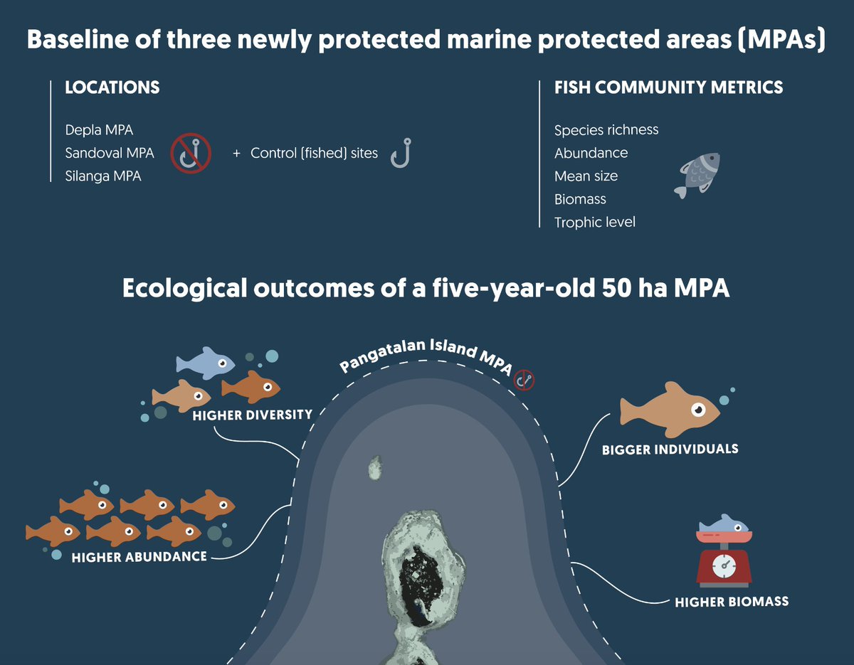 🚨Paper Alert🚨 📈We provide #MPA #network baseline data ⏱️After 5 yrs of protection: 🐟🎣The 1st MPA of the network improved the status of species that matter to local #fisheries. 👉Monitoring MPA early effects key for #adaptive #management conbio.onlinelibrary.wiley.com/doi/10.1111/cs…