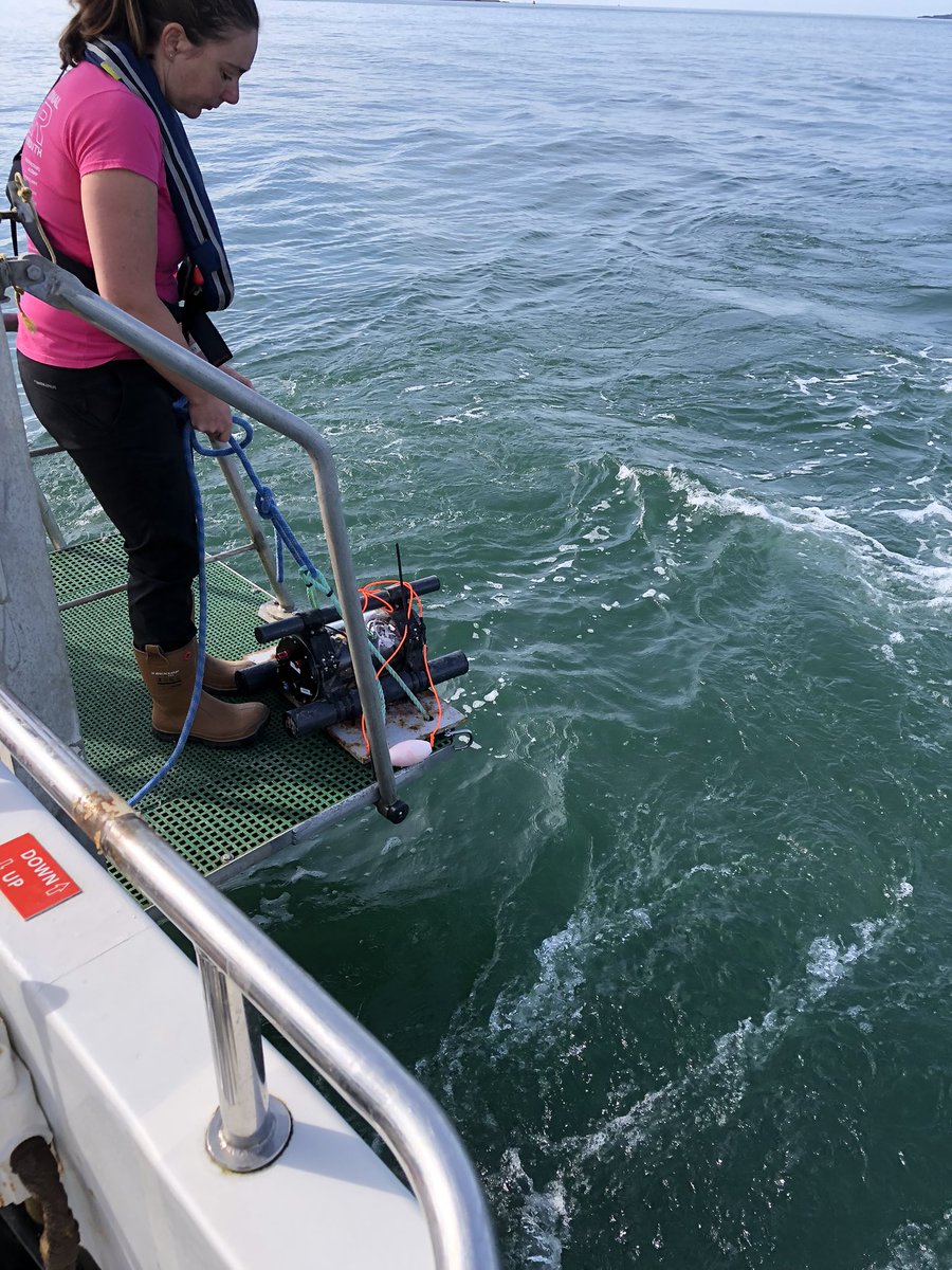 FinVision tweet media