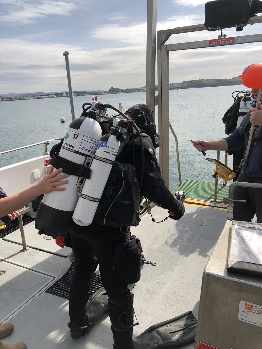 FinVision tweet media