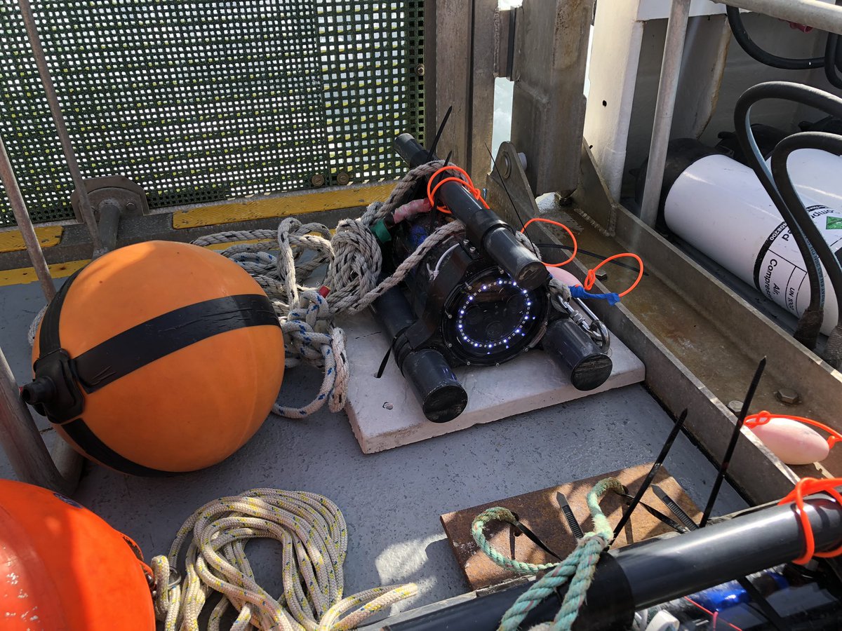 FinVision tweet media