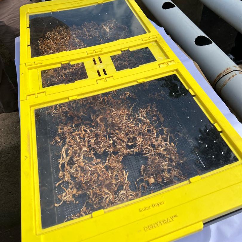 WFP Uganda tweet media