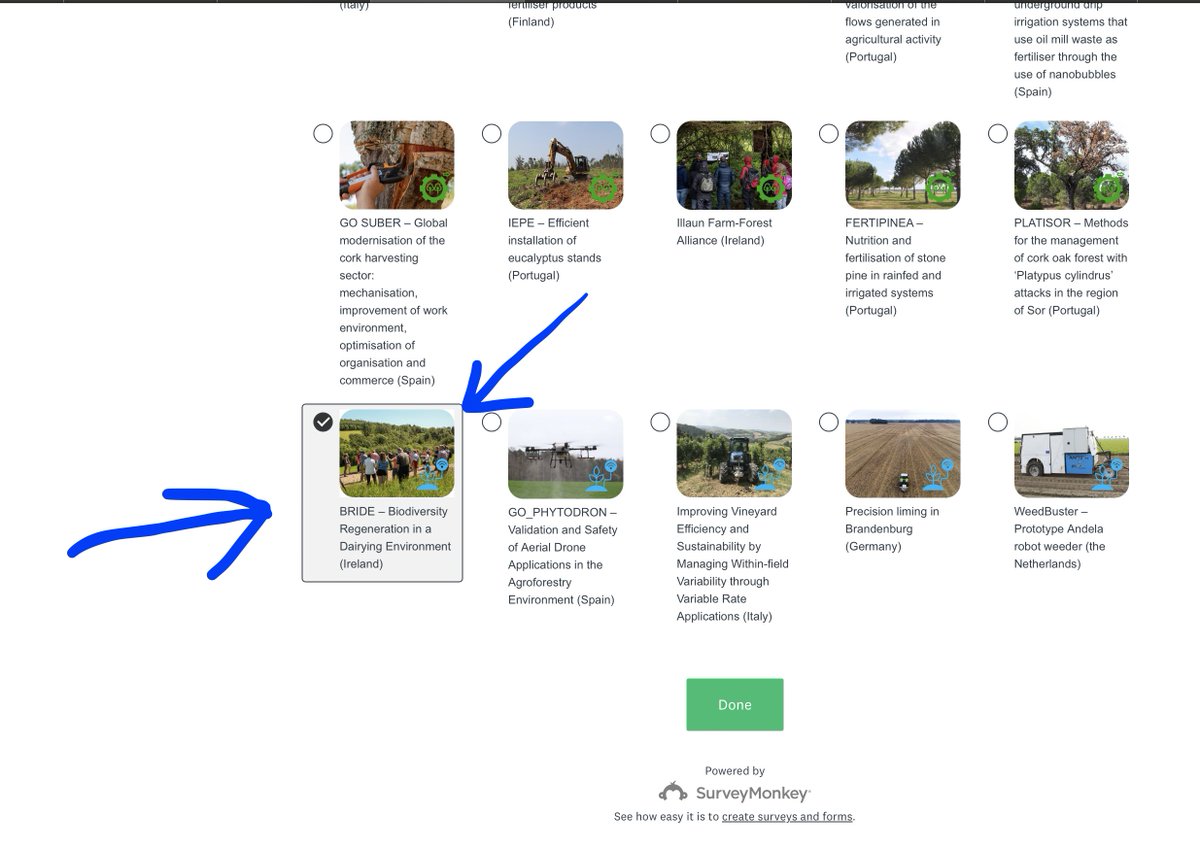 If you could give @bride_project a vote - Biodiversity Regeneration in a Dairying Environment. Takes 10 seconds. Scroll to the bottom and they're on the bottom left. Then hit done and you're done!