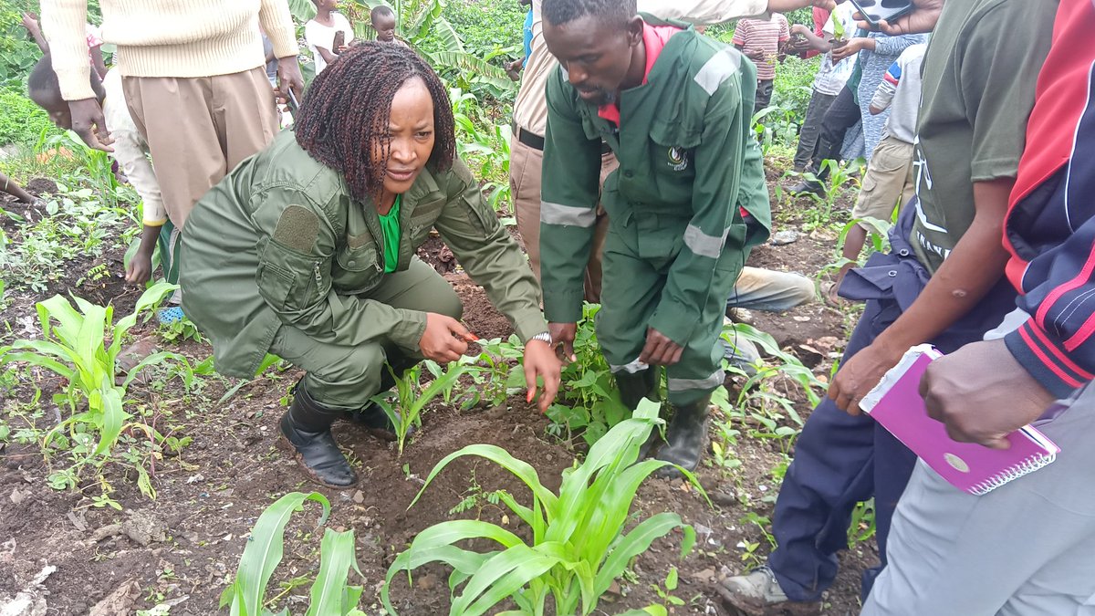 Nairobi Rivers Commission tweet media