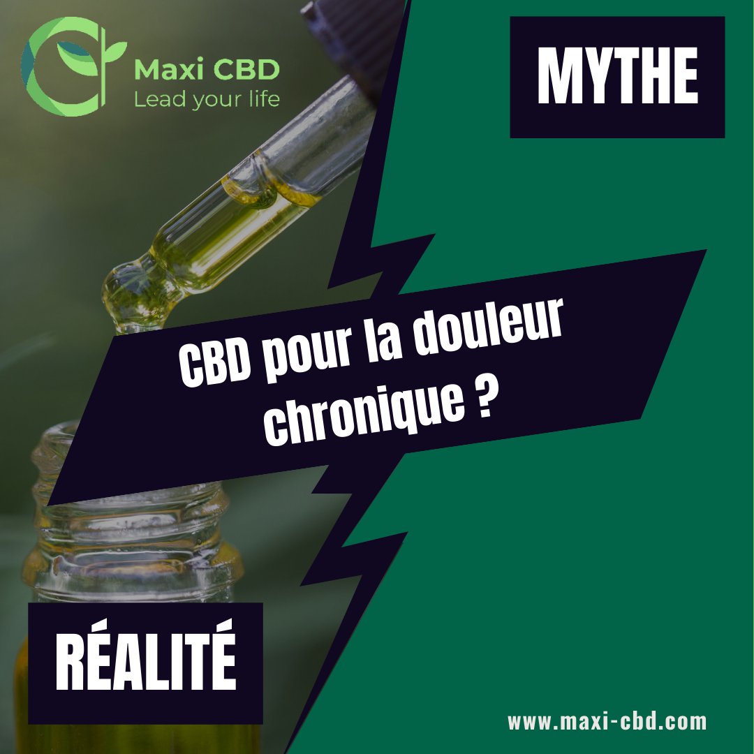 Le CBD : Mythe ou réalité pour la douleur chronique ? 🩺💊 cannabis-cbd-info.com/cbd-pour-la-do… 
#MaxiCBD #CBDEtDouleur #MytheOuRéalité #ScienceCannabinoïdes #DouleurChronique