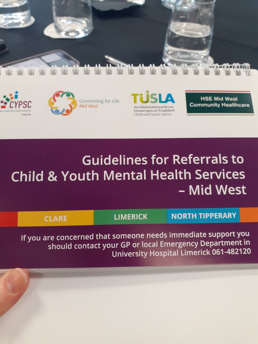 PEIN_Ire's tweet photo. Thomond Park as beautiful a backdrop as ever for the launch of @LimerickCYPSC comprehensive resources on school avoidance & guidelines for referrals to child & youth mental health services mid West #integratedworking https://t.co/KGtlVX9BM9