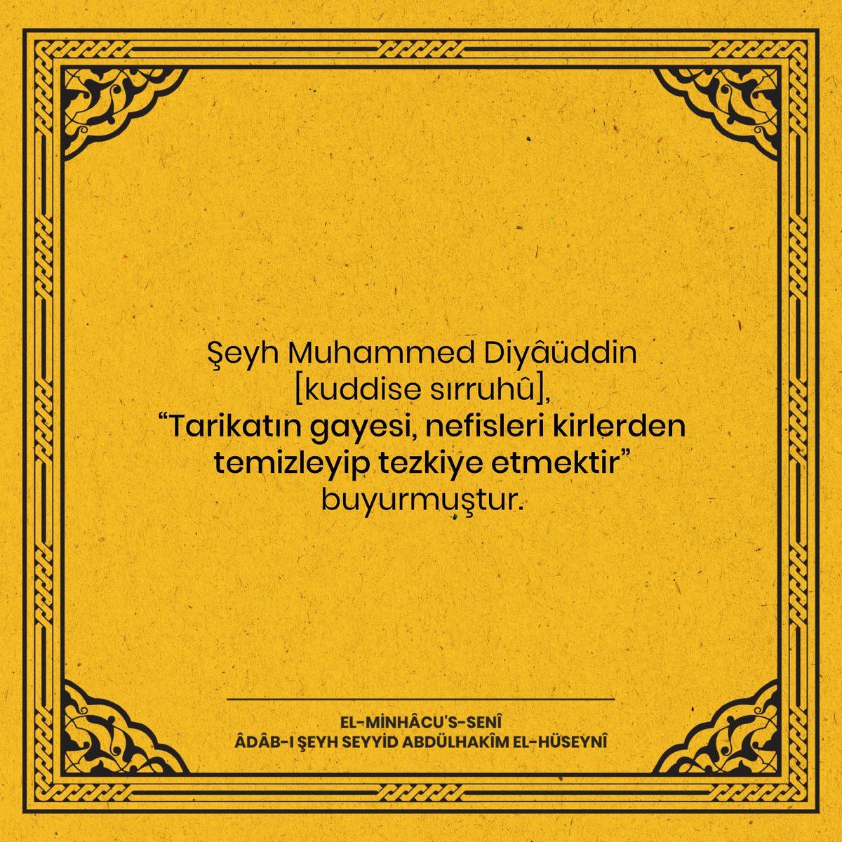 Şeyh Muhammed Diyâüddin [kuddise sırruhû], “Tarikatın gayesi, nefisleri kirlerden temizleyip tezkiye etmektir” buyurmuştur.