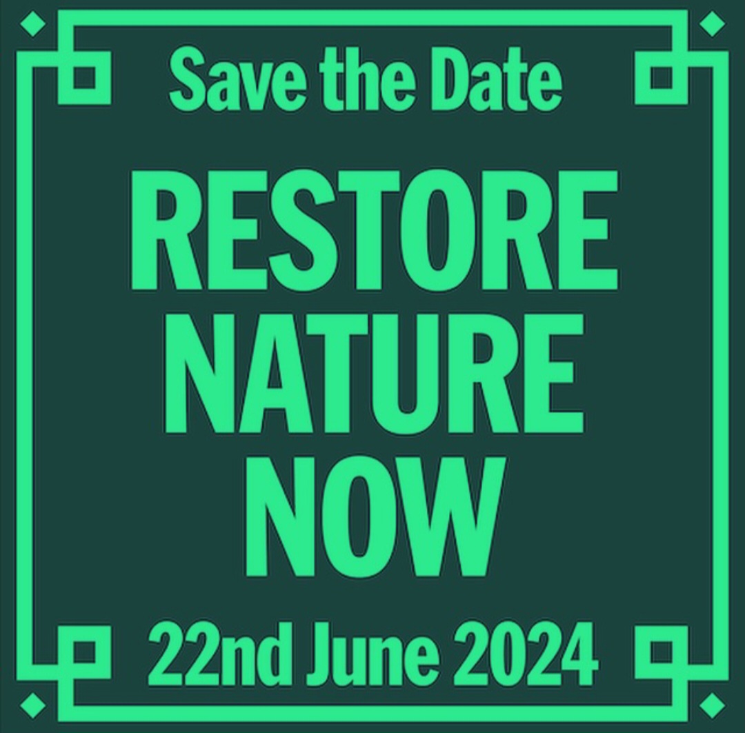 🗓️On 22 June we're joining a march to #RestoreNatureNow  🌱This is a peaceful march in London to take a message to politicians that nature can be saved, but only if they take action now  Come and Join us - find out more & sign up 👉bit.ly/44cc8nn