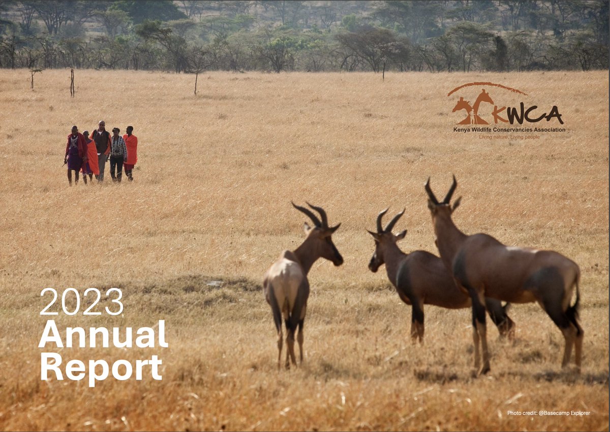 KWCA Annual Report 2023 is out Now! Download the report ➡️ bit.ly/44crE2x to learn more