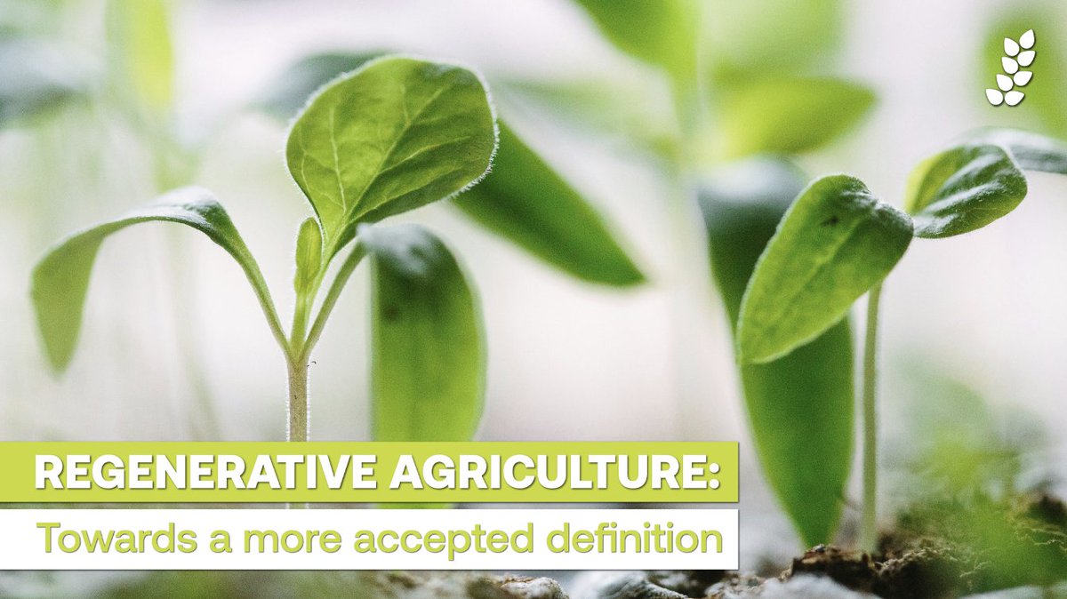 Is #RegenerativeAgriculture going to be regulated?

Lack of a consistent definition has risks, including confusion and greenwashing.

Whether a 3rd party regulatory body arises or not, we should work towards a definition which is quantifiable and based on sound science.

1/2 🔽