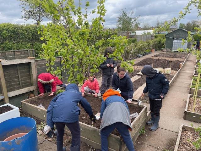 Year 5 worked very hard at the allotment during Green Week and have learnt a lot about planting and growing. They are looking forward to coming back to harvest their vegetables. @RHSSchools