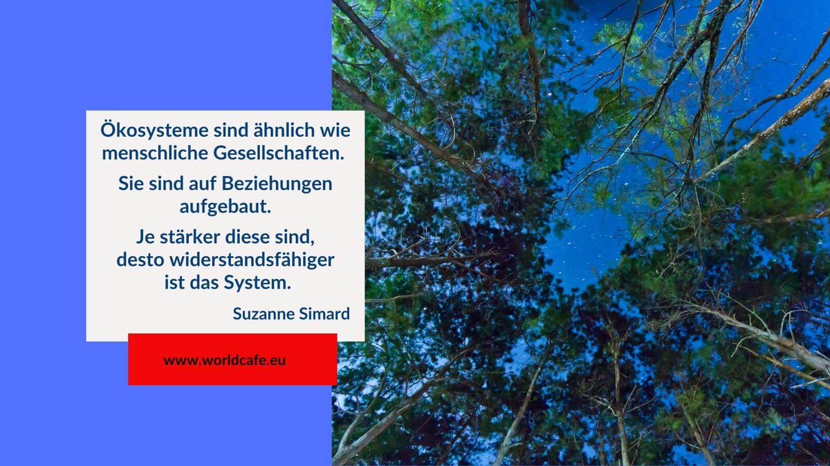 Profitieren von unserem #Knowhow über #Content-Design + Technologie für Ihr virtuelles oder hybrides World Cafe chmp.ly/BKX #wfh