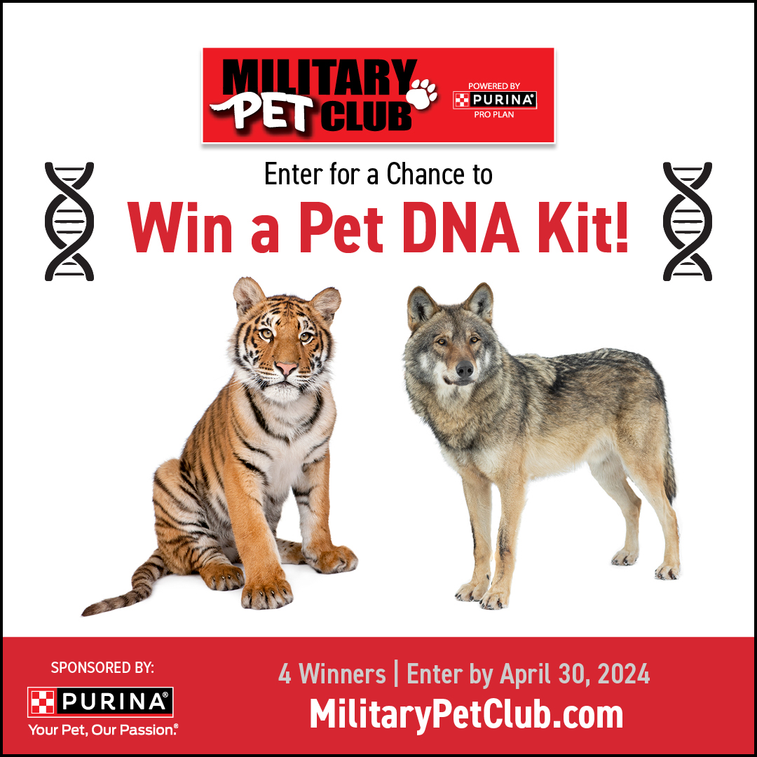 Want to know more about your pet 🐱🐶 win a DNA 🧬 Test Kit!

Enter in to win! 🏆

militarypetclub.com

#militarypetclub #purina #cats #dogs
@Purina