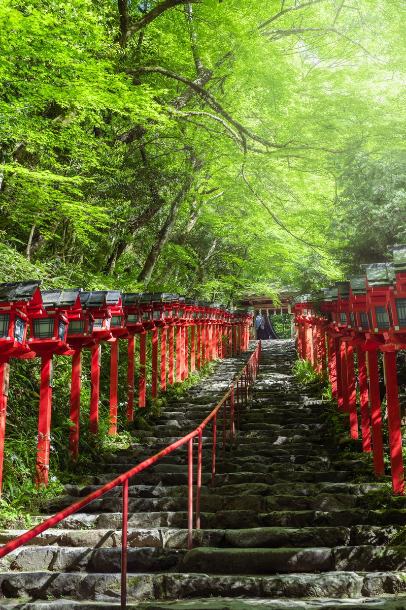 貴船神社の美しすぎる新緑。