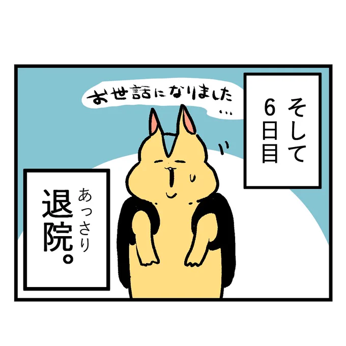七色のGERO吐けますか?3度目の入院へ編第15話
2度目の入院は、たったの6日で退院となりました。
#漫画が読めるハッシュタグ #もしゃ悪阻日記 