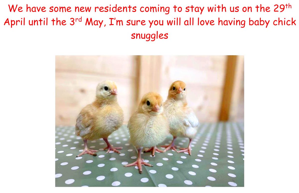 We’re all very much looking forward to having these chicks come to stay with us on April 29th!

#Blackburn #carehomes #carehomesuk #elderly #Lancashire #respite #daycare #residential #wecare #socialcare #care