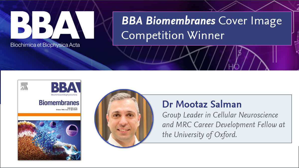 Congratulations to BBA Cover Image Competition winner Dr. Mootaz Salman (@MootazSalman) whose winning image is displayed on the journal cover of BBA Biomembranes. Send in your own entry for the 2025 BBA Cover Image Competition > spkl.io/601142oiU