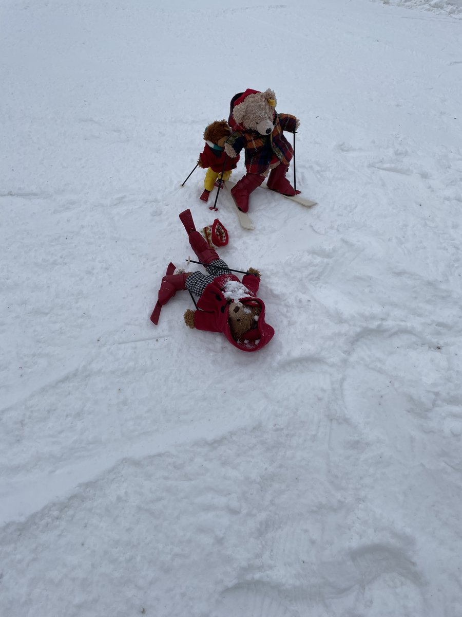 Yes, as expected. Accident's will happen if your ski whilst inebriated. #Flynn #Flynnthebear #MarmotBasin #Jasper