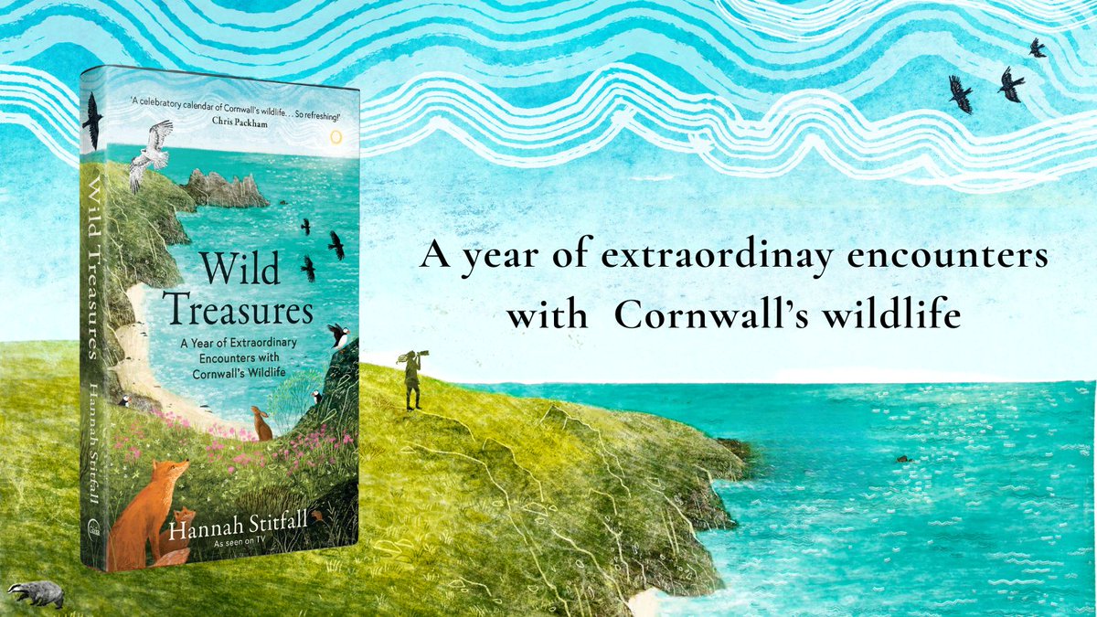 Happy publication day to 'Wild Treasures' by Hannah Stitfall! In 'Wild Treasures', Hannah shares her incredible stories, beautiful photographs and often funny meetings with Cornwall's wildlife through the course of a year.