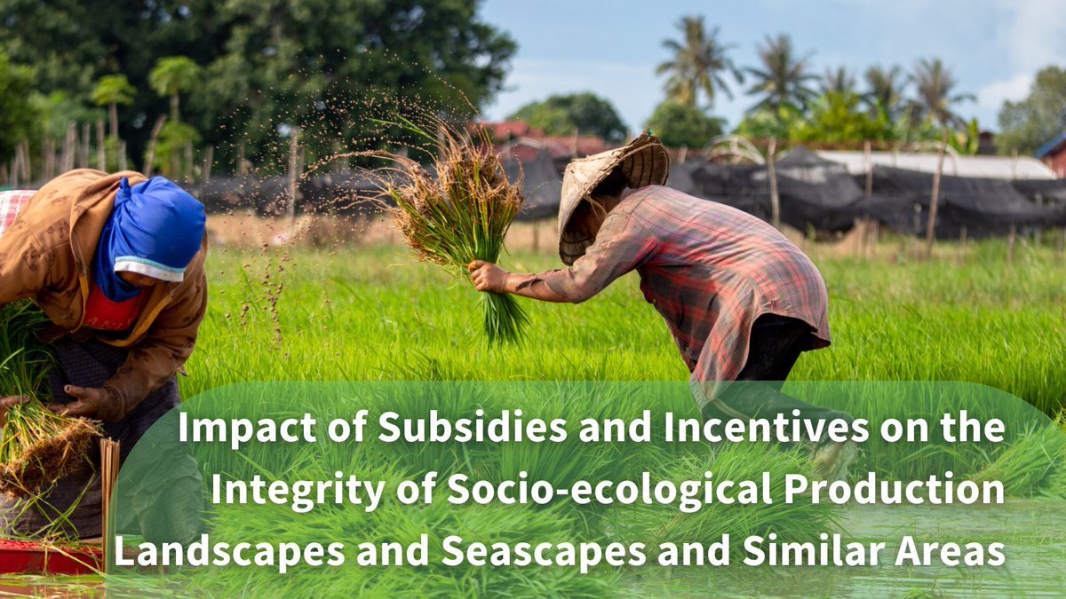 📢Operating in SEPLS or Cultural Landscapes!⛰️Contribute to sustainability & biodiversity policies with our survey.

We're partnering with @MedNatureCultur, @UNCTAD_BioTrade & @UNBiodiversity Secretariat to offer insights on subsidies. Interested? Contact us for survey link.