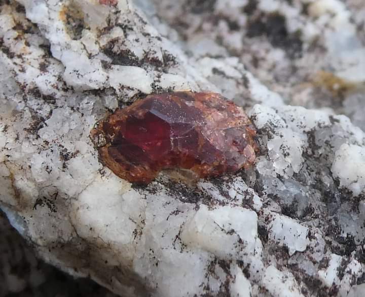 Sorry no scale.. but some lovely garnets from a granitic pegmatite from South Harris, Scotland #geology #garnet