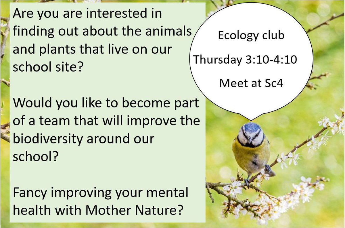 🌿 Exciting news, nature lovers! 🌍 Our school's Ecology Club is gearing up for some amazing adventures and initiatives. 🌱 Join us Thursday 3.10pm meet in SC4