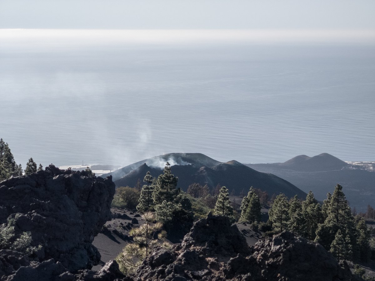 GeologistsCat's tweet image. Today is #VolcanoThursday &amp;amp; this is the #saline #Salinas de #Fuencaliente. We visited it on #LaPalma during #hedgewatch. In 2021 the #eruption of the #Tajogaite #volcano 18 km away ruined large parts of the "harvest" due to its ash. In Decembre the volcano was still smoking