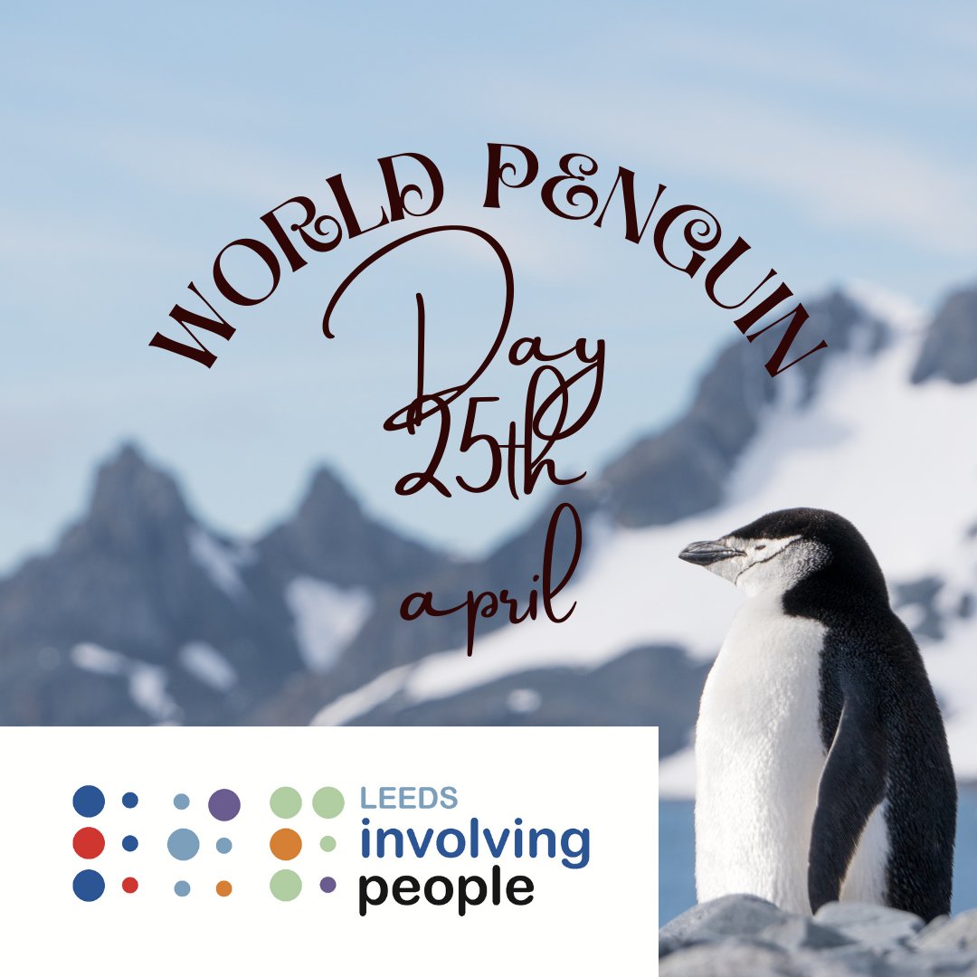 Waddle, dance, and celebrate! Today is all about our tuxedo-clad friends who remind us to keep sliding through life with happiness. Join the festivities on this #WorldPenguinDay!