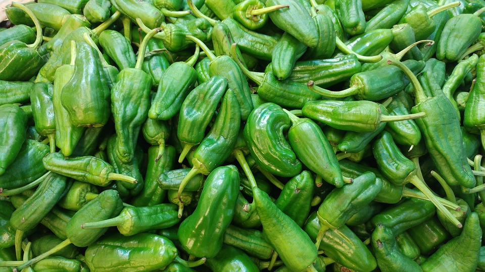 Genetic characterization of a locus responsible for low pungency using EMS‑induced mutants in Capsicum annuum L. rdcu.be/dEXzl