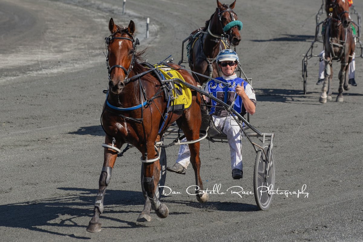 Dan Costello (@danracingwrap) on Twitter photo War Club makes it 2 from 2 in Qld winning race 3 <a href="/redcliffe_hrc/">Redcliffe Harness Racing Club</a> giving Jonah Hutchinson an early double <a href="/PaigeBevan0299/">Paige Bevan</a> War Club makes it 2 from 2 in Qld winning race 3 <a href="/redcliffe_hrc/">Redcliffe Harness Racing Club</a> giving Jonah Hutchinson an early double <a href="/PaigeBevan0299/">Paige Bevan</a>